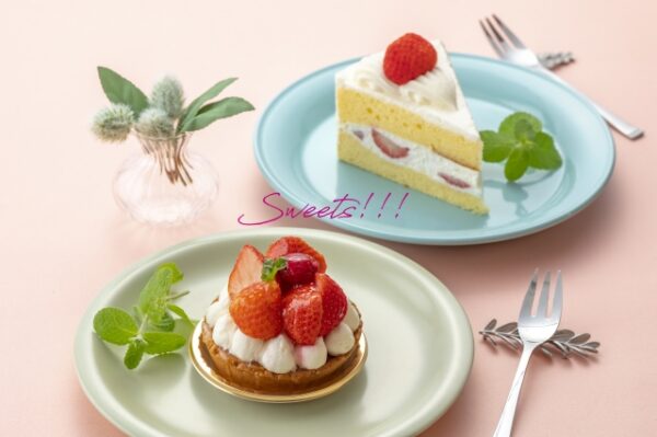 紅茶ファンブログ【あっさむ】では、紅茶に合うケーキを紹介しています！
